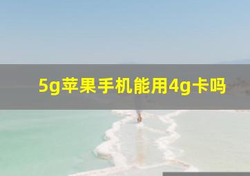 5g苹果手机能用4g卡吗