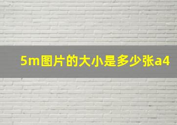 5m图片的大小是多少张a4