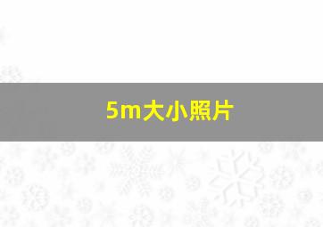 5m大小照片