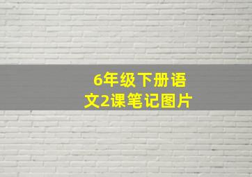 6年级下册语文2课笔记图片