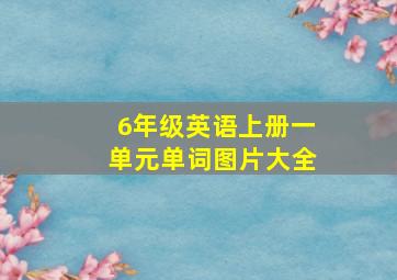 6年级英语上册一单元单词图片大全