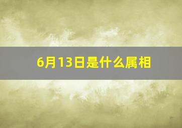 6月13日是什么属相