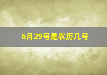 6月29号是农历几号