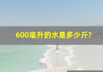 600毫升的水是多少斤?