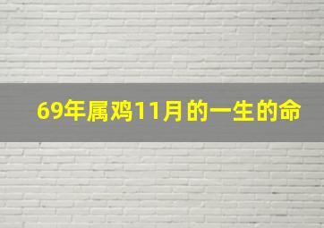 69年属鸡11月的一生的命