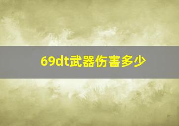 69dt武器伤害多少