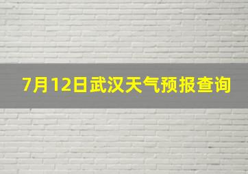 7月12日武汉天气预报查询