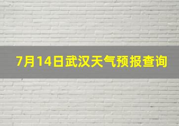 7月14日武汉天气预报查询