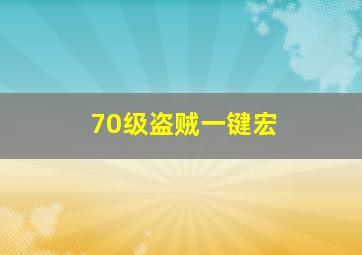 70级盗贼一键宏