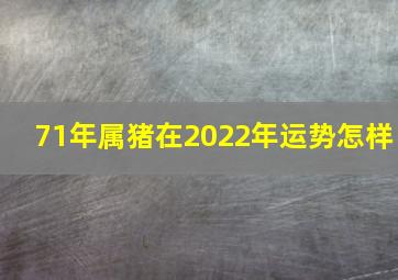 71年属猪在2022年运势怎样