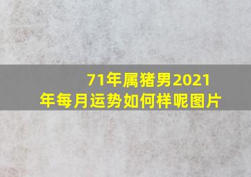 71年属猪男2021年每月运势如何样呢图片