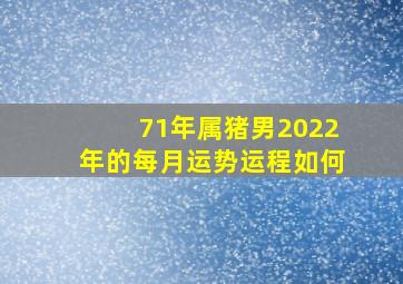 71年属猪男2022年的每月运势运程如何