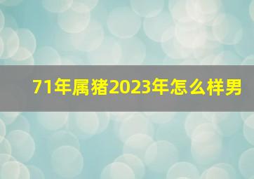 71年属猪2023年怎么样男