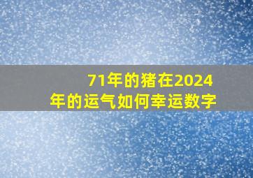 71年的猪在2024年的运气如何幸运数字