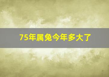 75年属兔今年多大了