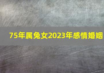 75年属兔女2023年感情婚姻