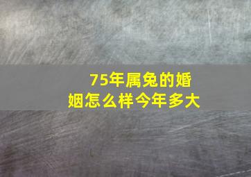 75年属兔的婚姻怎么样今年多大