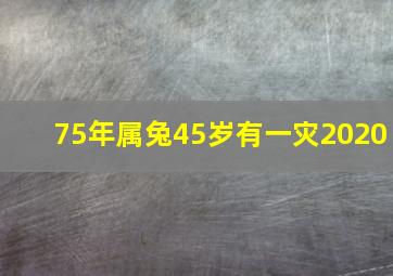 75年属兔45岁有一灾2020