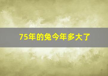 75年的兔今年多大了