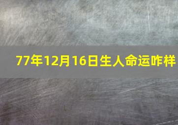 77年12月16日生人命运咋样