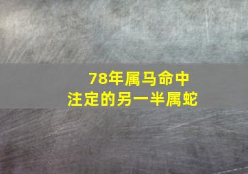 78年属马命中注定的另一半属蛇