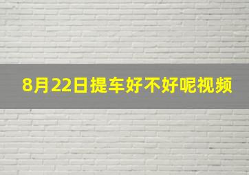 8月22日提车好不好呢视频