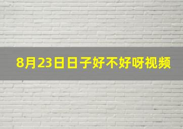 8月23日日子好不好呀视频