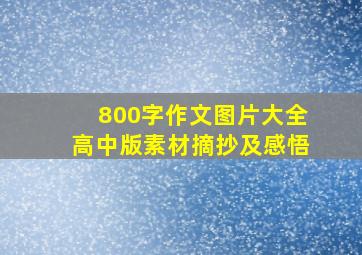 800字作文图片大全高中版素材摘抄及感悟