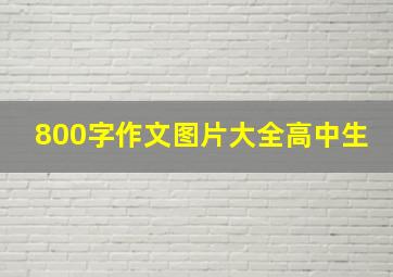 800字作文图片大全高中生