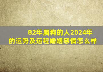 82年属狗的人2024年的运势及运程婚姻感情怎么样