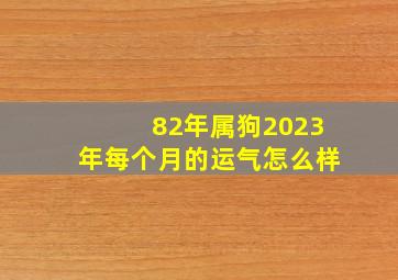 82年属狗2023年每个月的运气怎么样