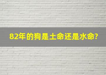 82年的狗是土命还是水命?