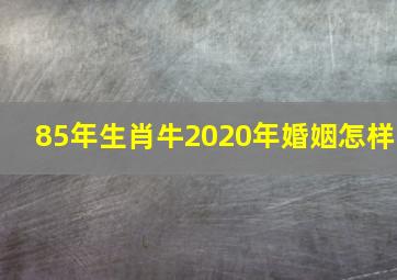 85年生肖牛2020年婚姻怎样