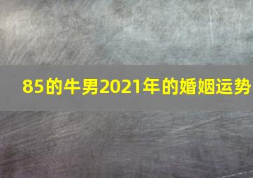 85的牛男2021年的婚姻运势