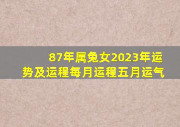 87年属兔女2023年运势及运程每月运程五月运气