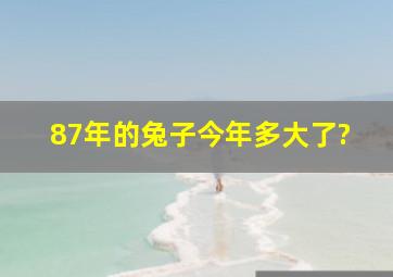 87年的兔子今年多大了?