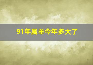 91年属羊今年多大了