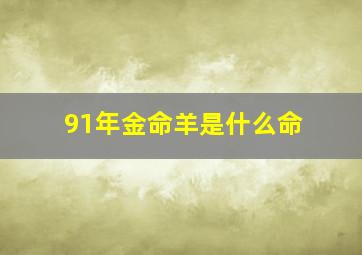 91年金命羊是什么命