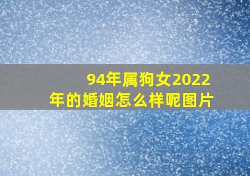 94年属狗女2022年的婚姻怎么样呢图片