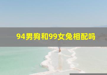 94男狗和99女兔相配吗