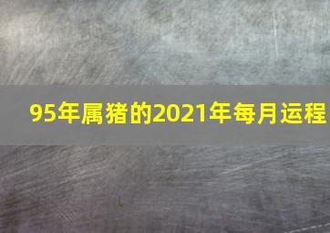 95年属猪的2021年每月运程