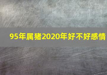 95年属猪2020年好不好感情