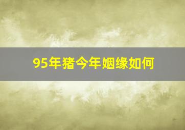 95年猪今年姻缘如何