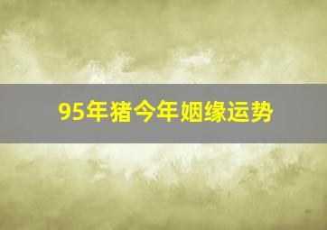 95年猪今年姻缘运势