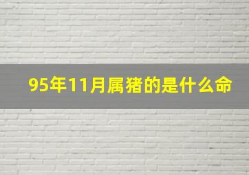 95年11月属猪的是什么命