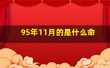 95年11月的是什么命