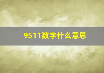 9511数字什么意思