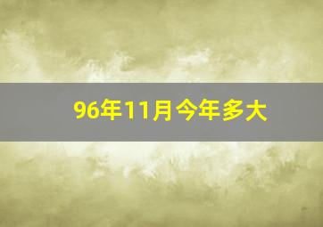 96年11月今年多大