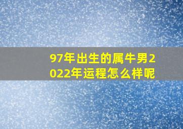 97年出生的属牛男2022年运程怎么样呢