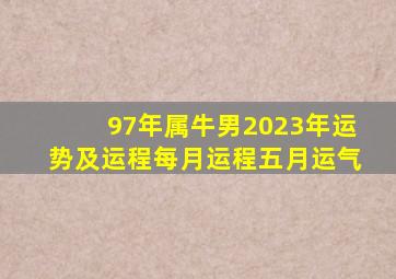 97年属牛男2023年运势及运程每月运程五月运气